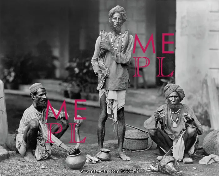 : Occupations - Snake Charmers : Occupations - Snake Charmers
