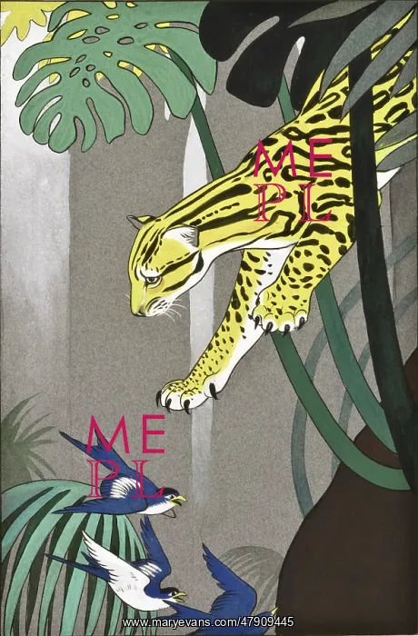 : Ocelot chasing birds : Ocelot chasing birds
