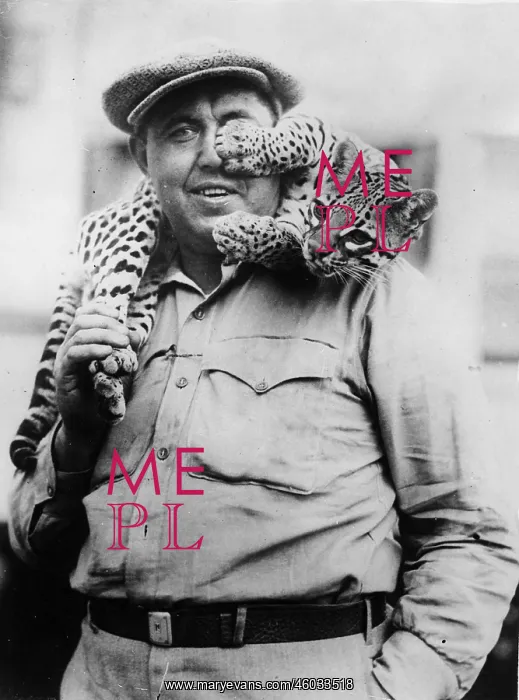 : Ocelot as pet : Ocelot as pet
