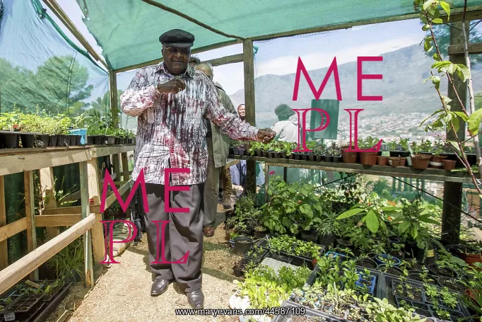  : October 23, 2014. Archbishop Desmond Tutu dances