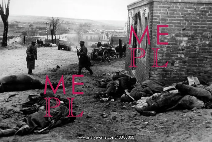 : October attack of the Army Group Center, 1941 : October attack of the Army Group Center, 1941