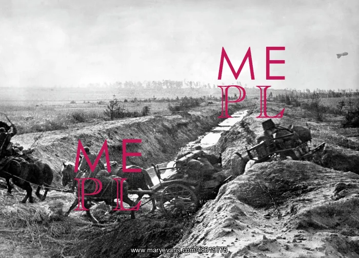 : October attack of the Army Group Center, 1941 : October attack of the Army Group Center, 1941