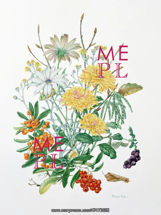 : October Days? flower design : October Days? flower design