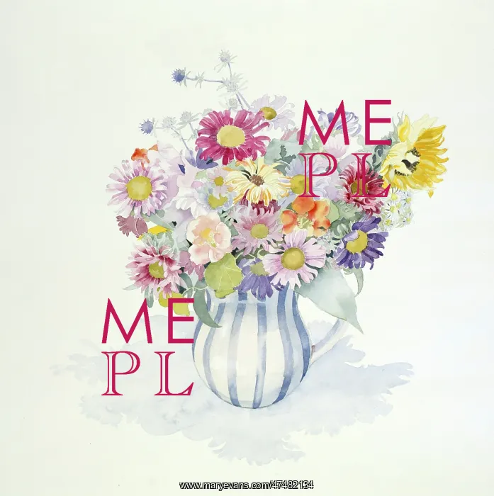 : October Flowers nasturtiums, daisies etc : October Flowers nasturtiums, daisies etc