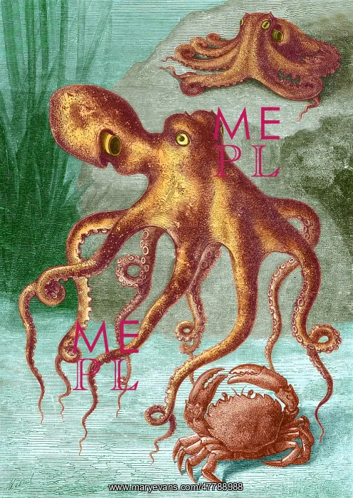 : Octopi and Crab, 1833 : Octopi and Crab, 1833