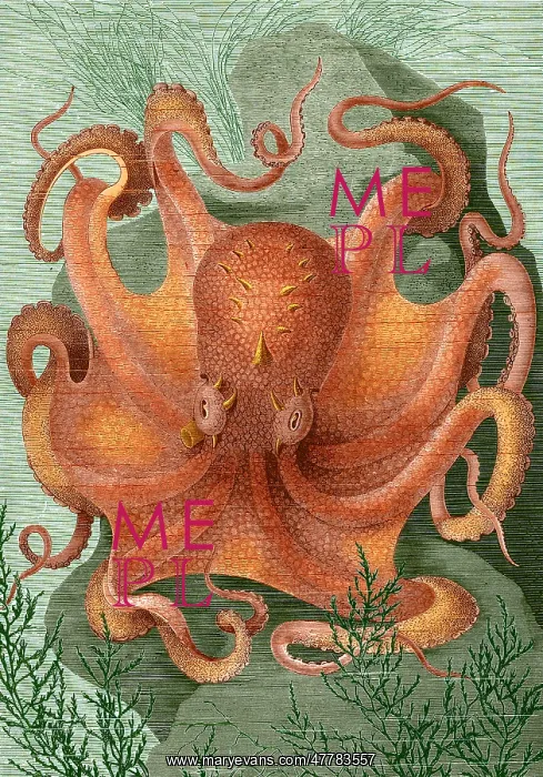 : Octopus, 1878 : Octopus, 1878