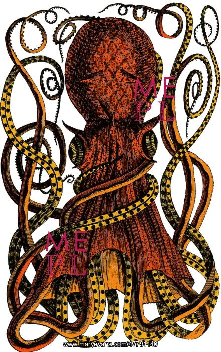 : Octopus, 18th Century : Octopus, 18th Century