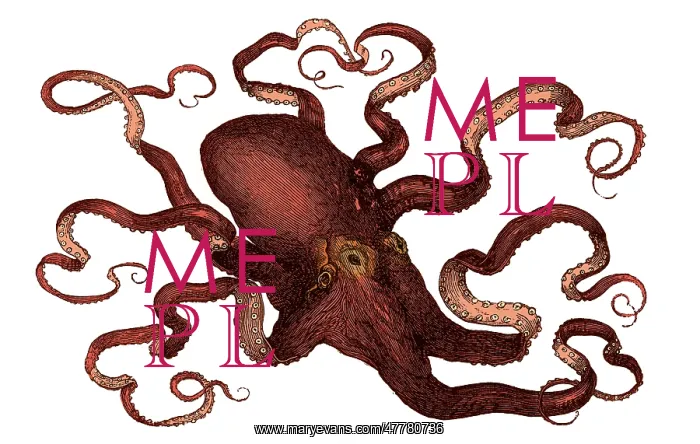 : Octopus, 19th Century : Octopus, 19th Century