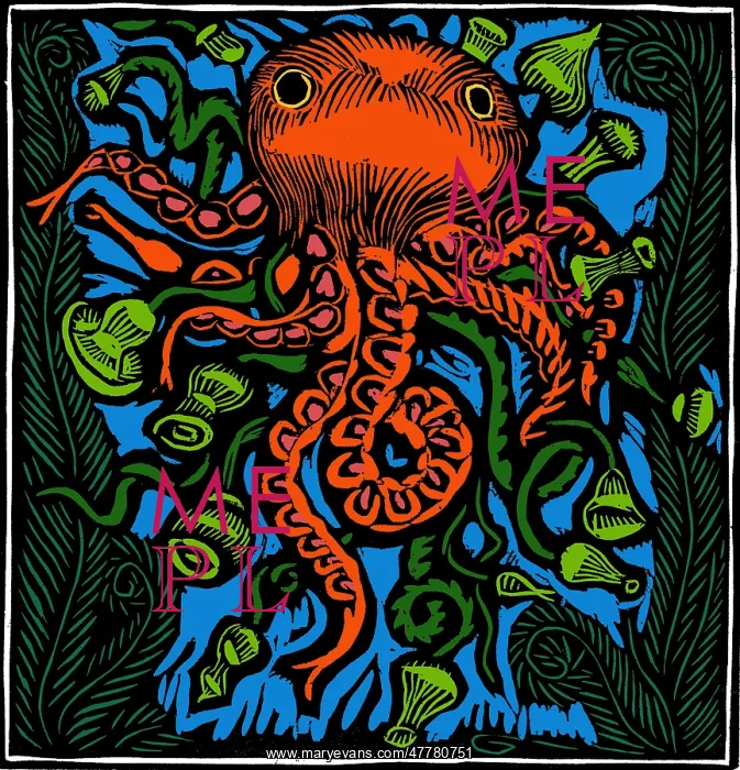 : Octopus, 20th Century : Octopus, 20th Century
