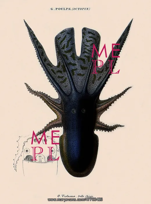  : Octopus