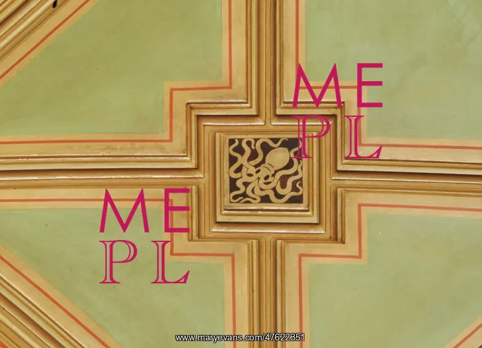: Octopus ceiling panel : Octopus ceiling panel