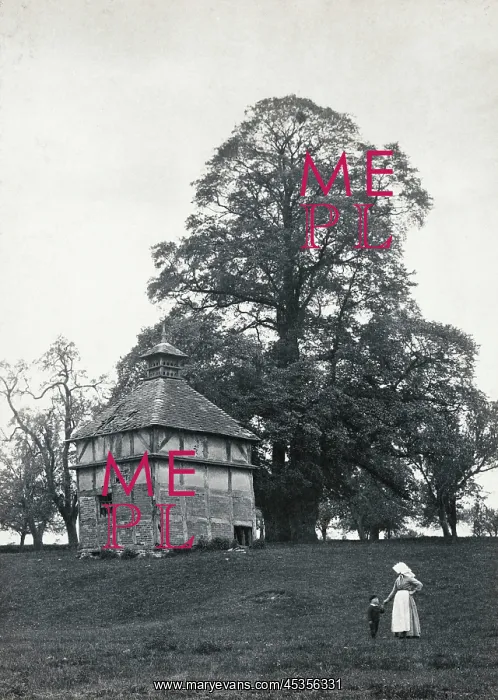 : Oddingley Dovecote : Oddingley Dovecote