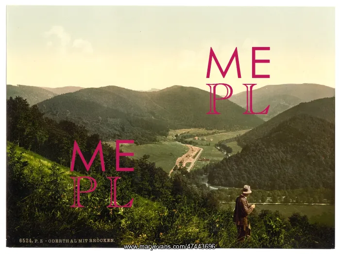 : Oderthal and view of Brocken, Hartz, Germany : Oderthal and view of Brocken, Hartz, Germany
