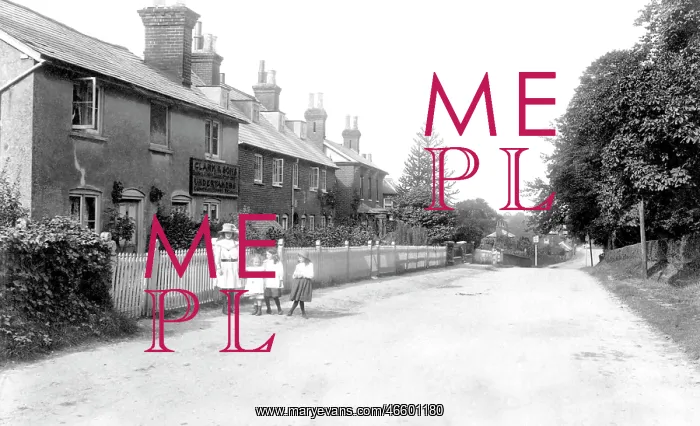  : Odiham, Colt Hill 1911