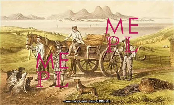 : OFF TO THE MOORS : OFF TO THE MOORS