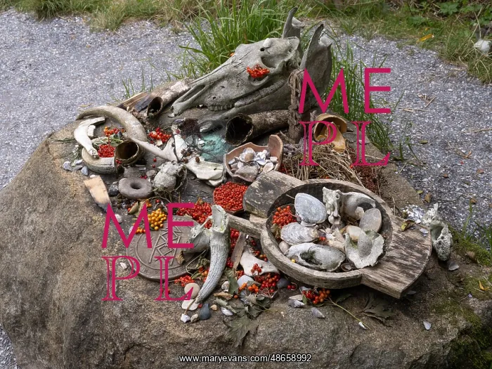 : Offerings, Gudehov, Bork Vikingehavn, Jutland, Denmark : Offerings, Gudehov, Bork Vikingehavn, Jutland, Denmark