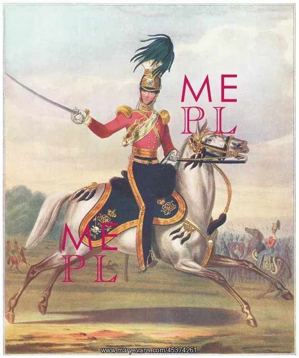  : Officer of the 17th Lancers