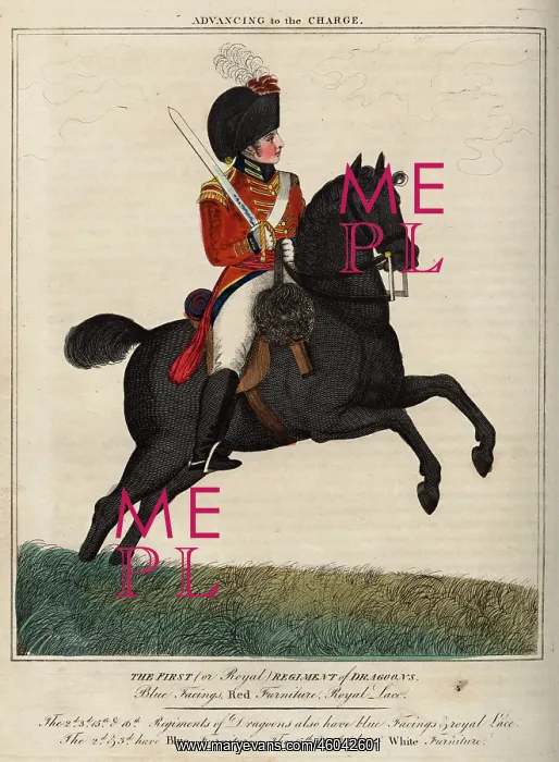 : Officer, 1st Royal Regiment of Dragoons : Officer, 1st Royal Regiment of Dragoons