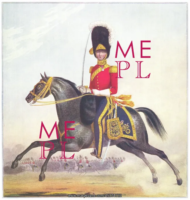 : Officer of the Dragoons : Officer of the Dragoons