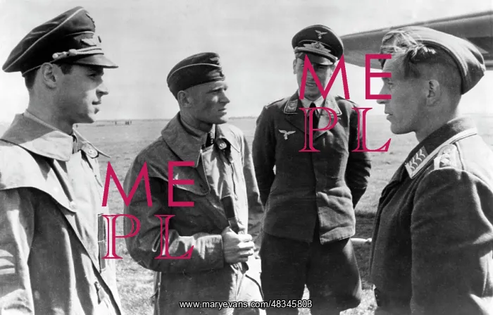 : Officers of the Luftwaffe, May 1940 : Officers of the Luftwaffe, May 1940