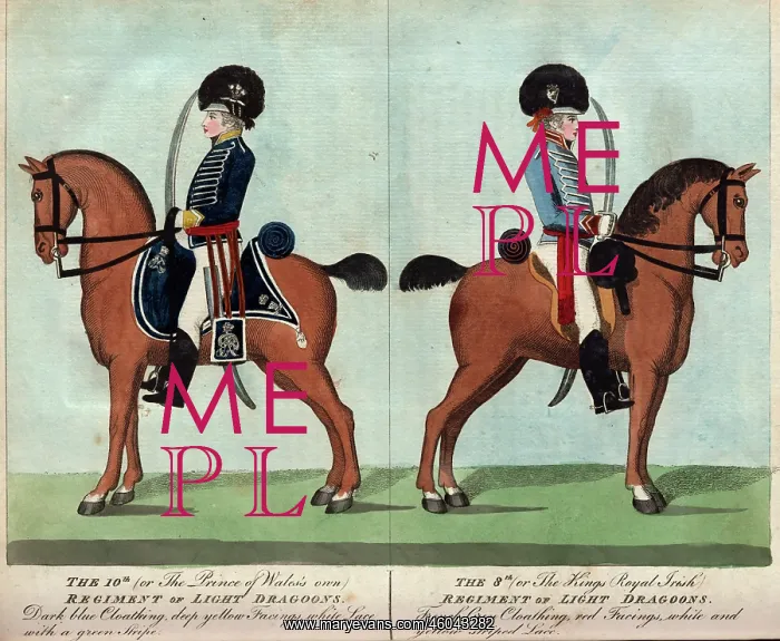 : Officers, Regiments of Light Dragoons : Officers, Regiments of Light Dragoons