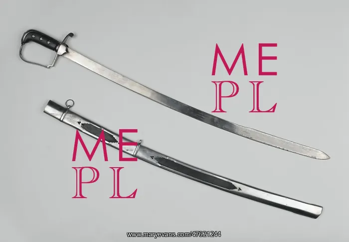 : Officer's sword, 51st Foot : Officer's sword, 51st Foot