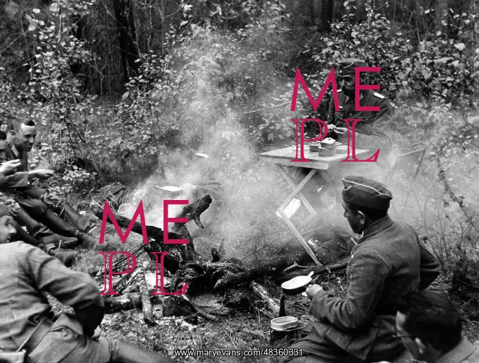 : Officers of the Wehrmacht resting on the eastern front, 1941 : Officers of the Wehrmacht resting on the eastern front, 1941