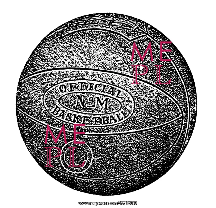 : Official Basketball : Official Basketball