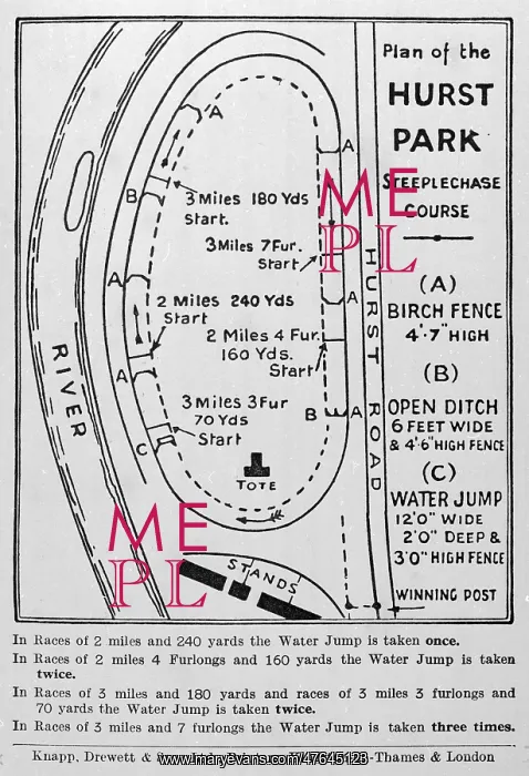 : Official card, Hurst Park Club, February meeting 1939 : Official card, Hurst Park Club, February meeting 1939