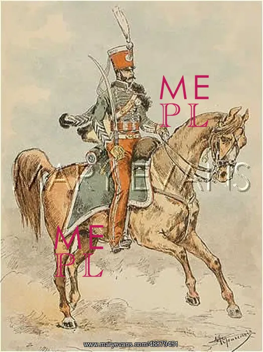 : OFFICIER DE HUSSARDS : OFFICIER DE HUSSARDS