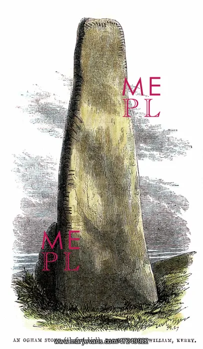 : THE OGHAM STONE / IRELAND : THE OGHAM STONE / IRELAND