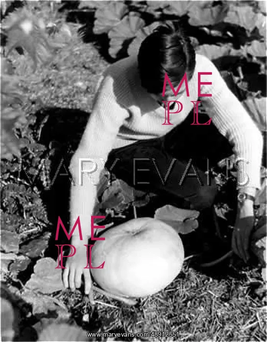 : OH MY GOURD! : OH MY GOURD!