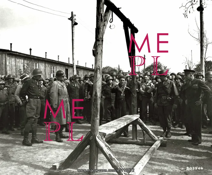 : Ohrdruf (Gotha) concentration camp - US Generals visit : Ohrdruf (Gotha) concentration camp - US Generals visit