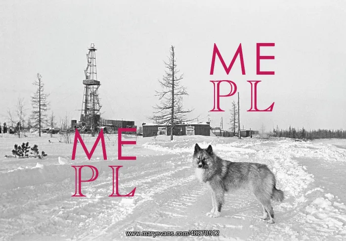 : Oil extraction, 1984 : Oil extraction, 1984