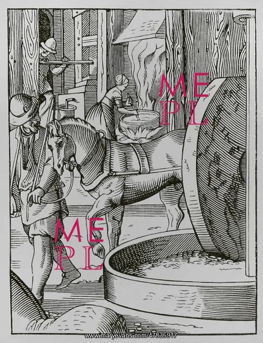: The oil maker, 16th century. Engraving : The oil maker, 16th century. Engraving