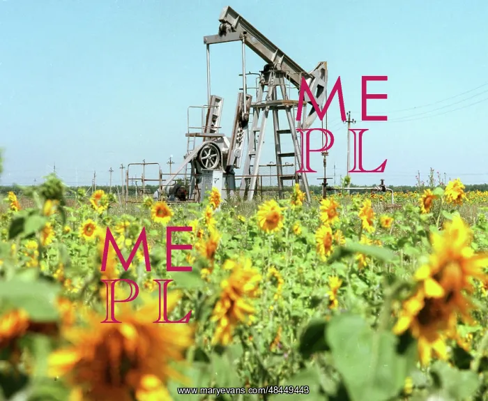 : Oil production in Samara Region, 1996 : Oil production in Samara Region, 1996