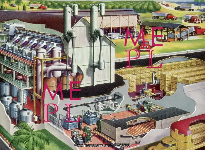 : OJ Concentrate Plant : OJ Concentrate Plant