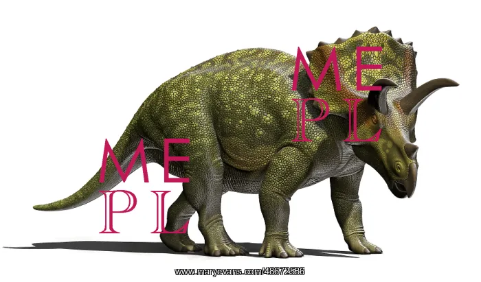 : Ojoceratops dinosaur on white background : Ojoceratops dinosaur on white background