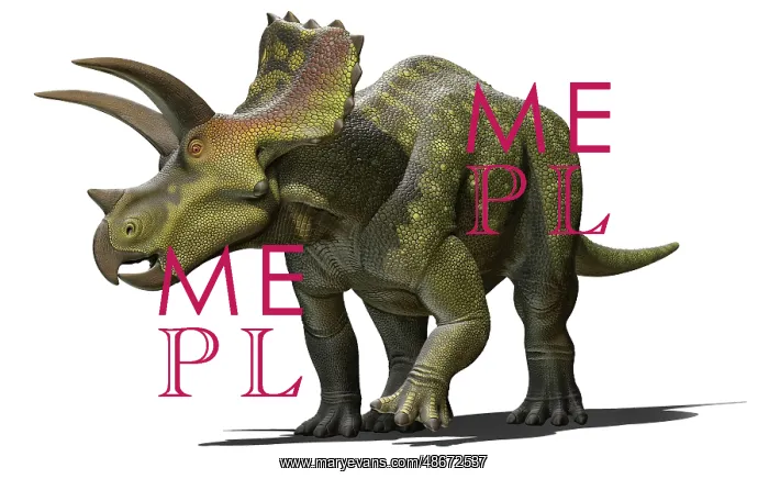 : Ojoceratops dinosaur on white background : Ojoceratops dinosaur on white background