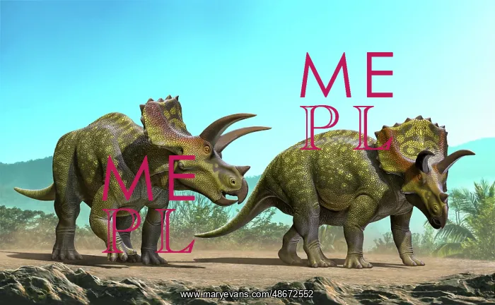 : Two Ojoceratops dinosaurs walking to find some food : Two Ojoceratops dinosaurs walking to find some food