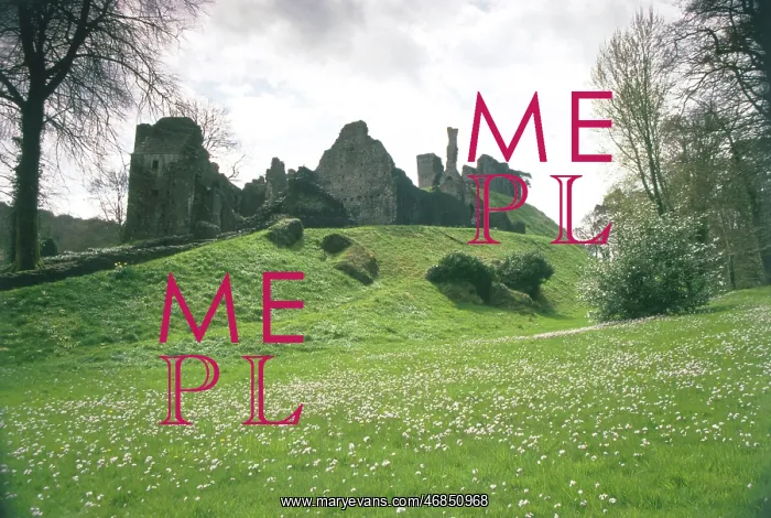  : OKEHAMPTON CASTLE