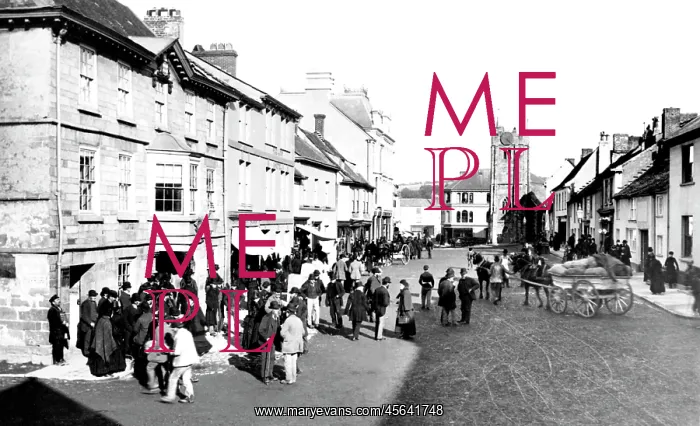  : Okehampton, Fore Street Market 1890