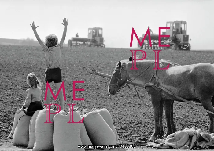 : Oktyabr Collective Farm : Oktyabr Collective Farm
