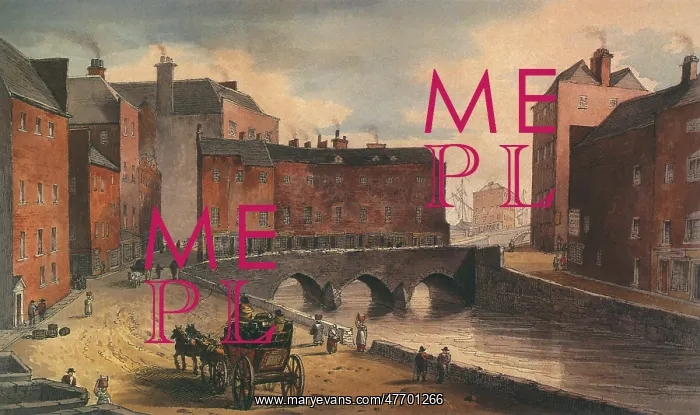 : Old Baal's Bridge, Limerick : Old Baal's Bridge, Limerick