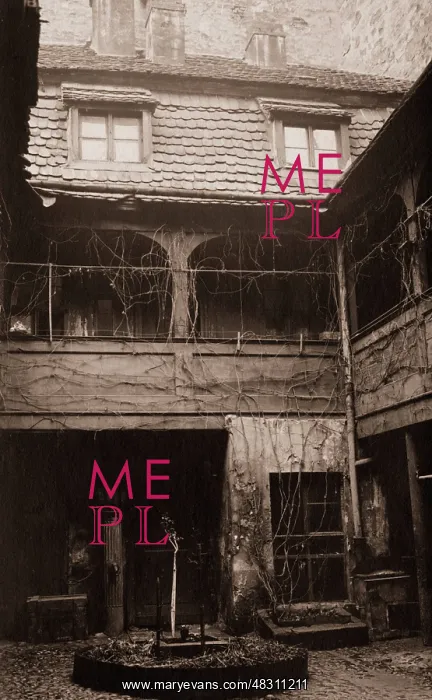 : Old backyard in the Petristrasse, 1933 : Old backyard in the Petristrasse, 1933