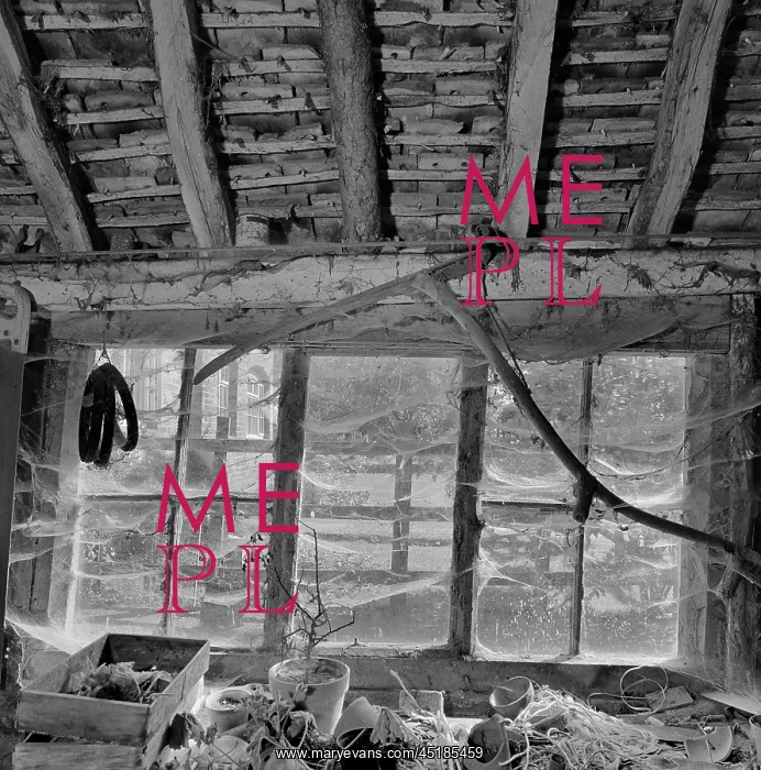 : Old barn. A view looking through the cobwebs in the window of the barn : Old barn. A view looking through the cobwebs in the window of the barn