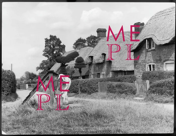 : OLD BASING COTTAGES : OLD BASING COTTAGES