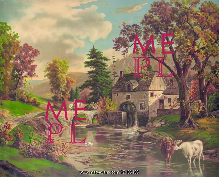  : Old mill on Beaver Creek