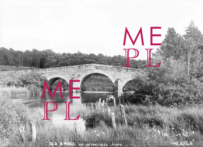 : Old Bridge on the Annamore River : Old Bridge on the Annamore River