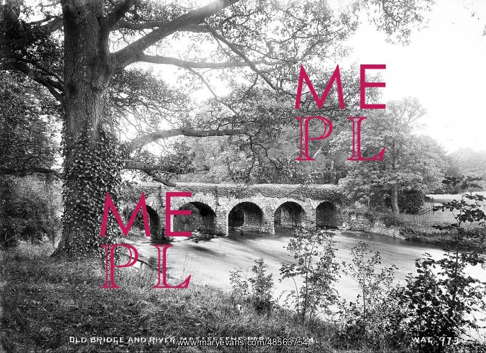 : Old Bridge and River, Massereene Park, Antrim : Old Bridge and River, Massereene Park, Antrim